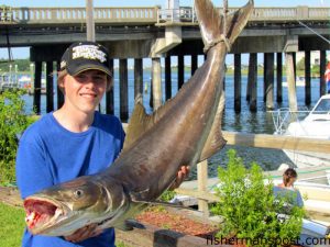 Jacob Staroska, of Grinnell, Iowa, with a 43 lb. cobia that bit a fish head near Masonboro Inlet while he was fishing with Capt. Andre Nel of Feel Good Fishing Charters.