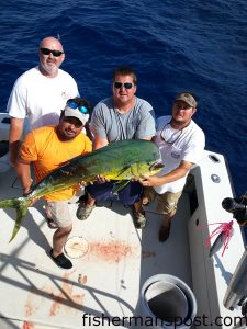 Corey Sholar, Jerome Cox, Tony James, and Juan Gonzalez with a bull dolphin that struck a skirted ballyhoo 58 miles off New River Inlet in 300' of water while they were trolling on the "Justified."