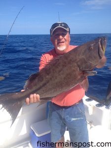 Tommy Queen, of Greensboro, NC, with a large scamp grouper that bit a live menhaden at some bottom structure in 85' of water off Holden Beach while he was fishing with Capt. Kevin Sneed of Rigged and Ready Charters.