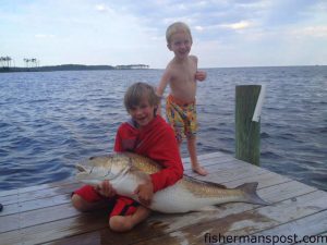 Michael Black (age 8) caught and released this citation-class red drum whil fishing from his family's dock near Oriental. The red fell for spot on a drum rig.