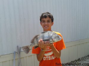 Jacob Pendergraft (age 10), of Fuquay-Varina, NC, with his first black drum, hooked in the surf at Indian Beach while he was fishing with his grandmother.