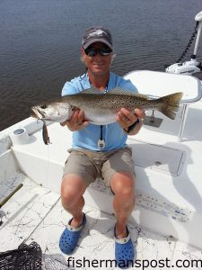 Capt. Rennie Clark, of Tournament Trail Charters, with a fat speckled trout he hooked on a topwater plug in the lower Cape Fear River.