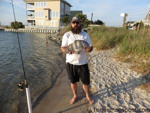 Robert Rogers, of Franklinton, NC, with a 23" black drum that struck cut shrimp in the sound at south Topsail.