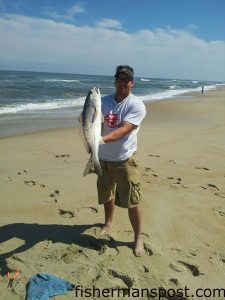 Korey with a 28" red drum he caught and released in the Salvo surf after it struck a bloodworm. Photo courtesy of TW's Tackle.