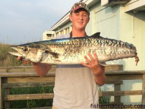 Chandler Rosenbaun with a 33 lb. (minus tail) king mackerel that bit a live bait off the end of Jolly Roger Pier.