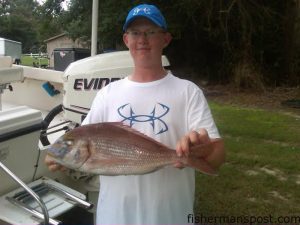 Jake Worthington, of Camden, NC, with a 4.5 lb. red porgy that bit a cigar minnow while he was fishing some bottom structure off Hatteras Inlet on the "Miss Hatteras."