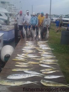 Gary Anderson and friends from Smyrna, GA, with yellowfin tuna and dolphin they hooked on skirted ballyhoo and greenstick squids while trolling offshore of Oregon Inlet with Capt. Lee Collins and mate Mikey Fulgham on the "Strike'Em."