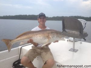 Zach Rouse, of Winterville, NC, with a 43" red drum he hooked on a topwater plug in a creek off the Neuse River.