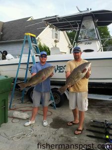 Chris Smith and E.J. Fowler, of Wilmington, with a pair of gag grouper they hooked at some bottom structure 35 miles off Carolina Beach Inlet.