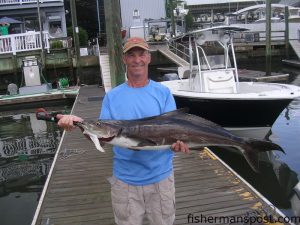 Tom Mudaro, of Wilmington, with a cobia he hooked 2 miles off Wrightsville Beach on a live bait.