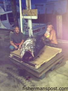 Capt. Lee Collins and mate Mikey Fulgham with a 697 lb. bluefin tuna that attacked a skirted ballyhoo and was landed by Herb Mills while they were trolling off Oregon Inlet on the "Strike'Em" out of the Oregon Inlet Fishing Center.