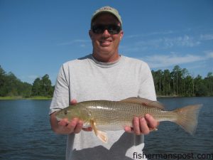Bud Frank, of Raleigh, with a slot red drum that bit a D.O.A. soft plastic near Oriental while he was fishing with Capt. Gary Dubiel of Spec Fever Guide Service.