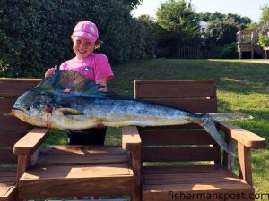 Kennedy Bowman (age 7), of Wake Forest, NC, with a 30 lb. dolphin she landed after it struck a skirted ballyhoo 45 miles southeast of Oregon Inlet.