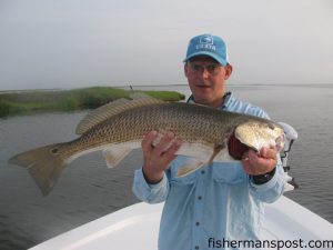 Matt Godwin, of Beaufort, NC, with a 31" red drum he caught and released in the lower Neuse River after it fell for a D.O.A. CAL soft plastic. He was fishing with Capt. Gary Dubiel of Spec Fever Guide Service.