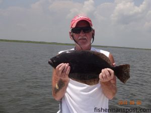 Bobby Mason with a 20" flounder that bit a 4" Gulp shrimp near Swan Quarter while he was fishing with Curtis Pelt.