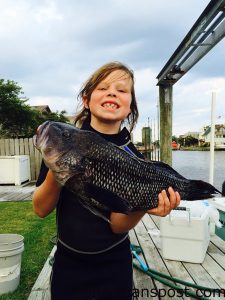Kennedy Bowman (age 7), of Wake Forest, NC, with a citation 5 lb., 10 oz. black sea bass that struck cut squid in 350' of water south of the Point while fishing with family. Weighed in at Pirate's Cove Marina.
