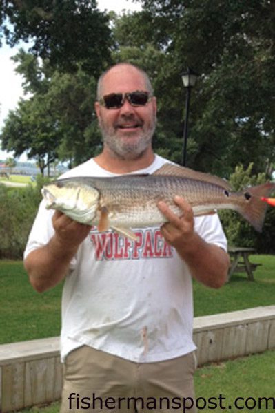 Tim Johnson, of Ocean, NC, with a 27″ red drum that bit a Betts Halo Shrimp off his Bogue Sound  dock.