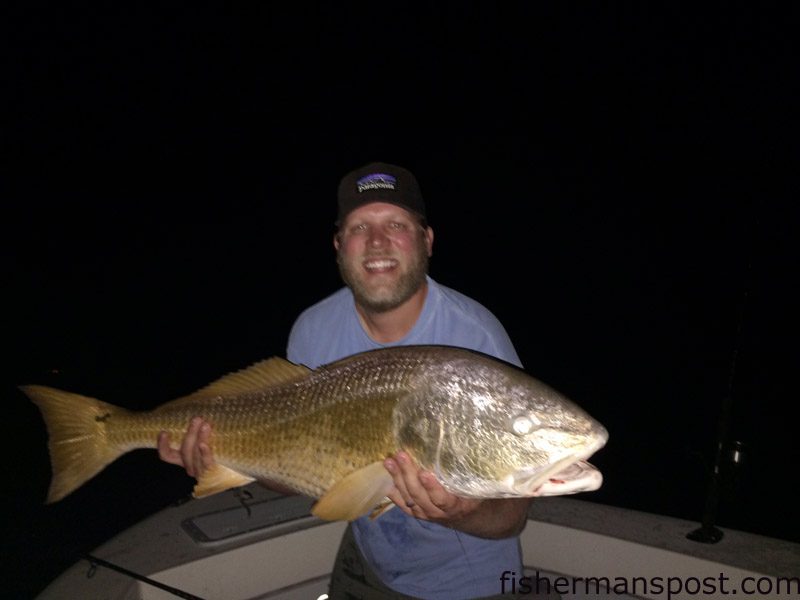 Rob Istone, of Hertz Rental Equipment Wilmington, with a citation red drum that struck a chunk of mullet while he was fishing the Pamlico Sound just off Cedar Island.