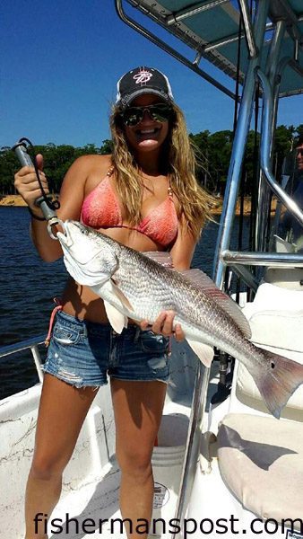 Hannah Winchell, of Iowa, with a 31″ red drum she caught and released after it bit a live finger mullet in Snows Cut while she was fishing with Capt. Robert Schoonmaker of Carolina Explorer Charters.