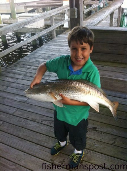 C.J. Branco (age 8), of Wilmington, with a red drum that struck a live pinfish while he was fishing from an ICW dock.