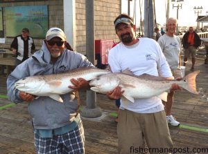 Bob Tenbusch, of Kill Devil Hills, and George Cecil, of Manteo, with a pair of citation-class red drum they caught and released while fishing cut baits from the end of Jennette's Pier.