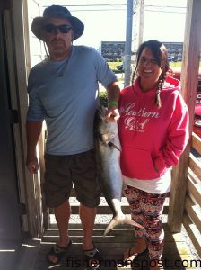 William Levier took first place in the bluefish category of the Fisherman’s Post Topsail Island Fall Surf Fishing Challenge with this 10.8 lb. fish. The big blue struck a chunk of mullet in a slough just off the beach at Surf City. 