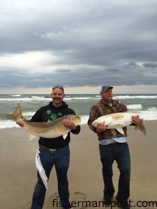 Joe Sutton and Wesley Barber with 43" and 47" red drum they caught and released in the surf at Nags Head. Photo courtesy of TW's Tackle.