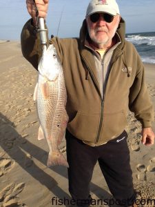 Dennie Bomar, of Nags Head, with one of 30+ puppy drum he and a friend landed while fishing off Ramp 4 near Oregon Inlet in early December. Photo courtesy of TW's Tackle.