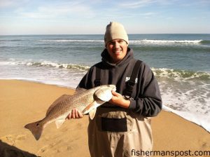 D.J. Muldowney, of Sanford, NC, with a slot puppy drum that bit a chunk of mullet in the Buxton surf.