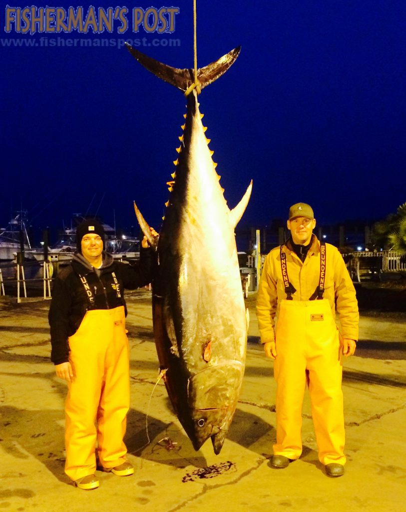 Capt. Ryan Williams and Jeff Blair with a 104" bluefin tuna (core weight 506 lbs.) they landed off Beaufort Inlet in late December.