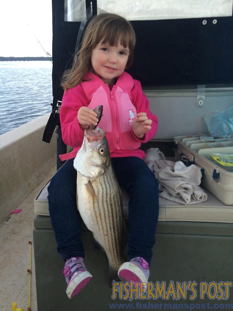Harper Hull (age 4), of Elizabeth City, NC, with a striped bass that struck a swimbait.