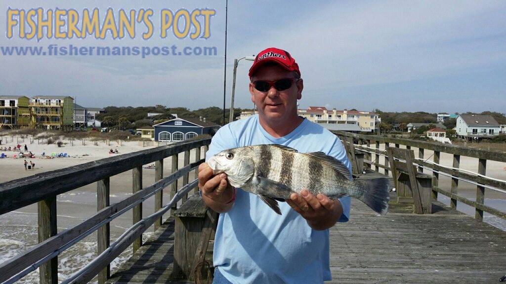 Steve Dishman, of Eden, NC, with a 19" black drum that bit shrimp while he was fishing from Oak Island Pier.