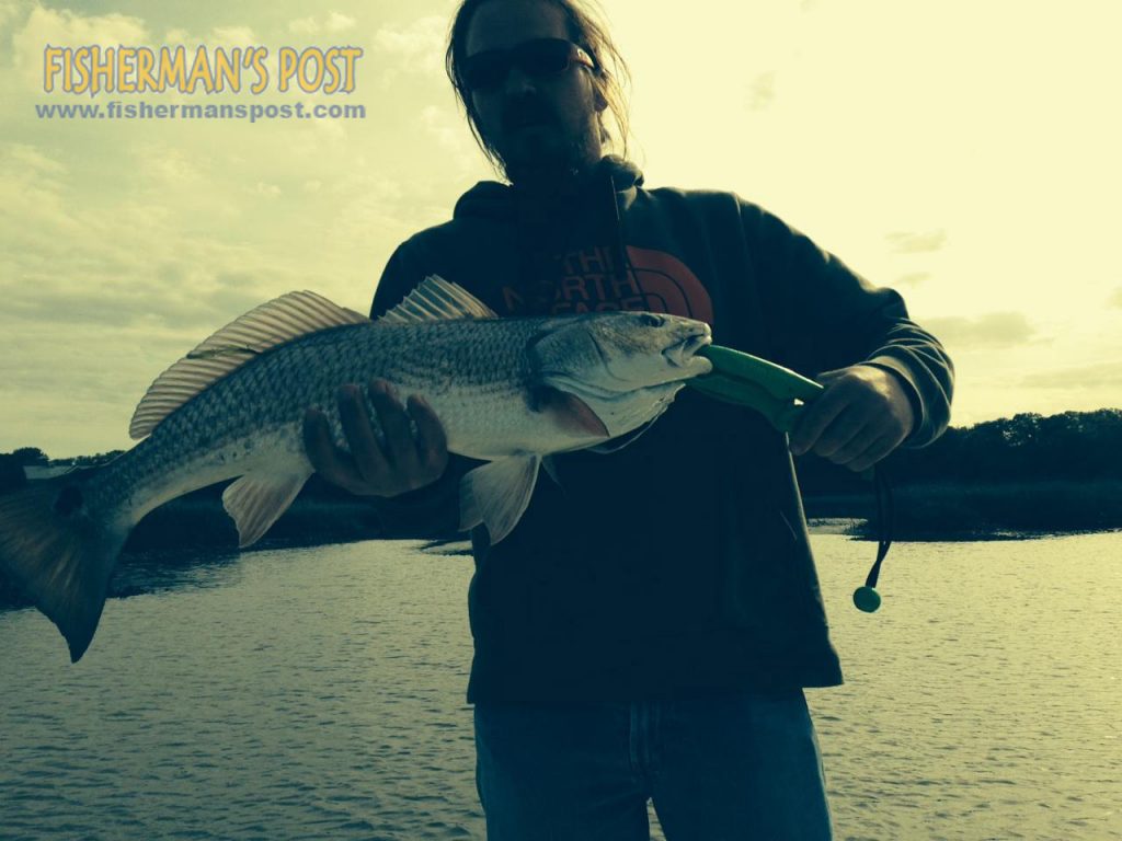 Brandon Fearnside with a 26" red drum that struck a live finger mullet near Southport.