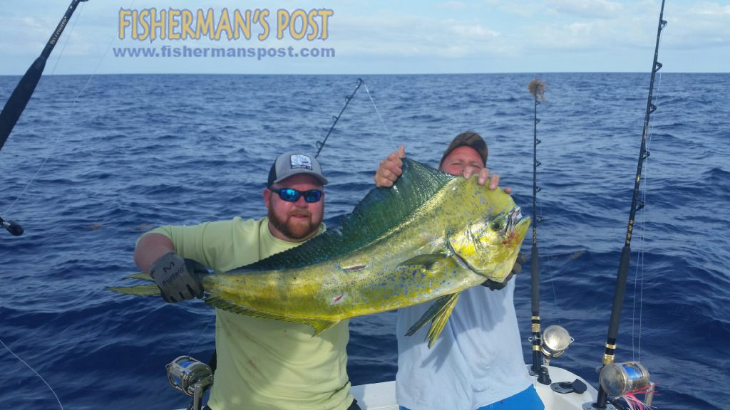 Capt. Kevin Sneed, of Rigged and Ready Charters, and Phill Henn, of Polkton, NC, with a bull dolphin that bit a rigged ballyhoo while they were trolling the Gulf Stream off Holden Beach.