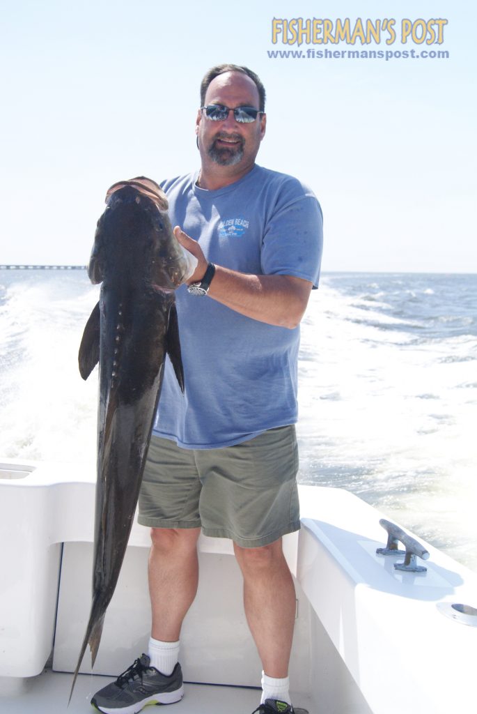 Dan Humphrey, of Springfield, VA, with a 30 lb. cobia he hooked on a live eel off Roanoke Island.