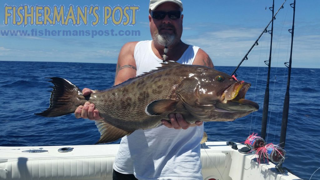 Jim Anderson, of Holden Beach, with a fat scamp grouper that struck a Blue Water Candy Roscoe jig in 350' of water near the Steeples. He was fishing with Capt. Kevin Sneed of Rigged and Ready Charters.