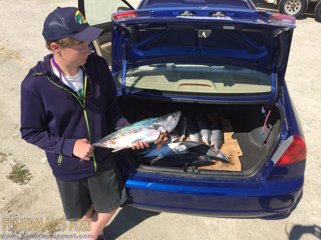 Bill Mowery, a 10th grader, with a trunk full of bonito getting ready to make the drive from the North Topsail Wildlife boat ramp to Hampstead.