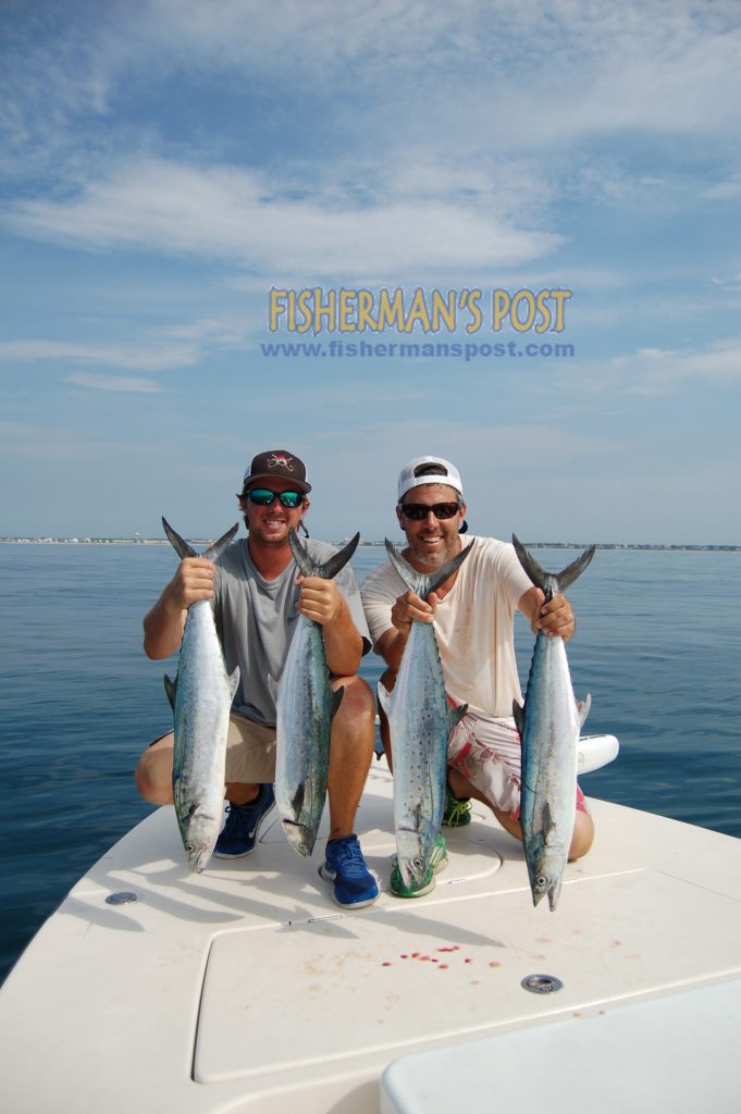 Capt. Johnathan Garrett (left), of On Point Fishing Charters out of Emerald Isle, and Gary Hurley with two handfuls each of the 3+ lb. spanish mackerel they caught by slow trolling live pogies in about 50' of water.