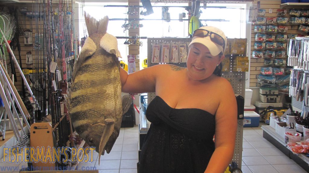 Kristen Wilson, of Powhatan, VA, with a 13 lb., 2 oz. sheepshead that she hooked while surf fishing at Ramp 55 in Hatteras Village. Weighed in at Teach's Lair.