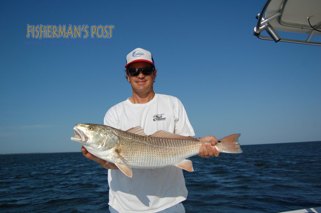 Kelly Hogan, from Nags Head, with an over-slot red drum caught using a gold spoon on a grass flat behind Frisco. He was fishing with Capt. Aaron Aaron of Tightline Charters out of Hatteras Harbor Marina.