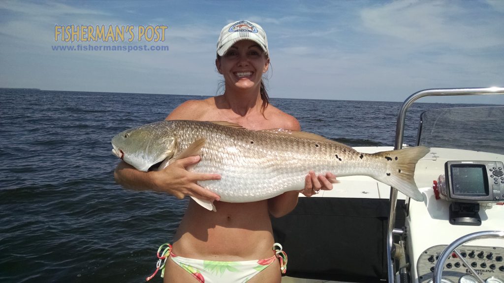 Windy Overgaard with a red drum that struck a whole bluefish while she was fishing the Neuse River near Oriental with her husband Peter.