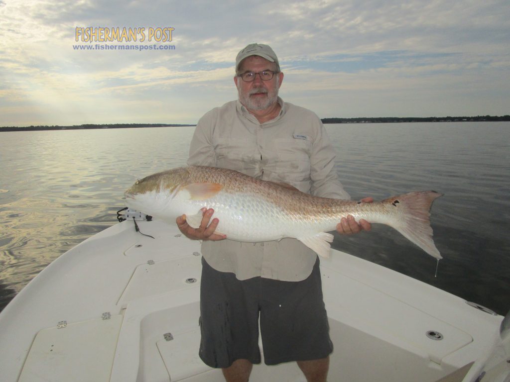 Duane Coen with a citation-class red drum that bit a 5" D.O.A. swimbait under a popping cork while he was fishing the lower Neuse River with Capt. Dave Stewart of Knee Deep Custom Charters.