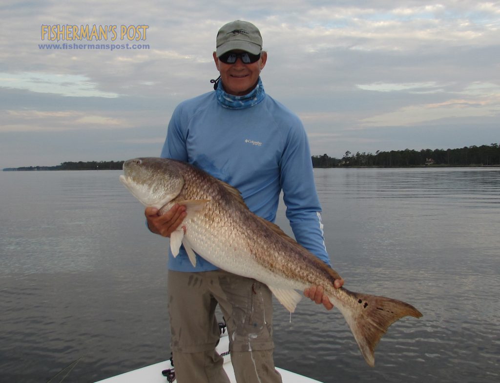 Doug Behrman with his largest fly red drum, a 43" (est. 37 lbs.) fish that struck a custom Pop N Fly rig while he was fishing the lower Neuse River near Oriental with Capt. Gary Dubiel of Knee Deep Custom Charters.
