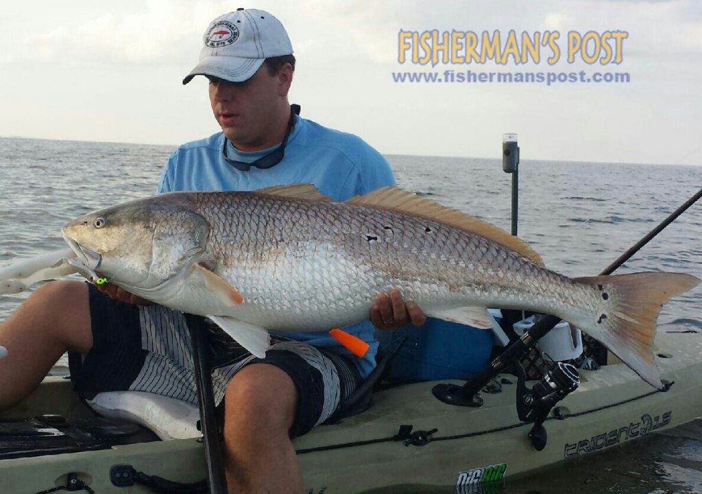 Chris White, of Newport, NC, with a citation-class red drum he hooked on a D.O.A. soft plastic under a popping cork while kayak-fishing the lower Neuse River.