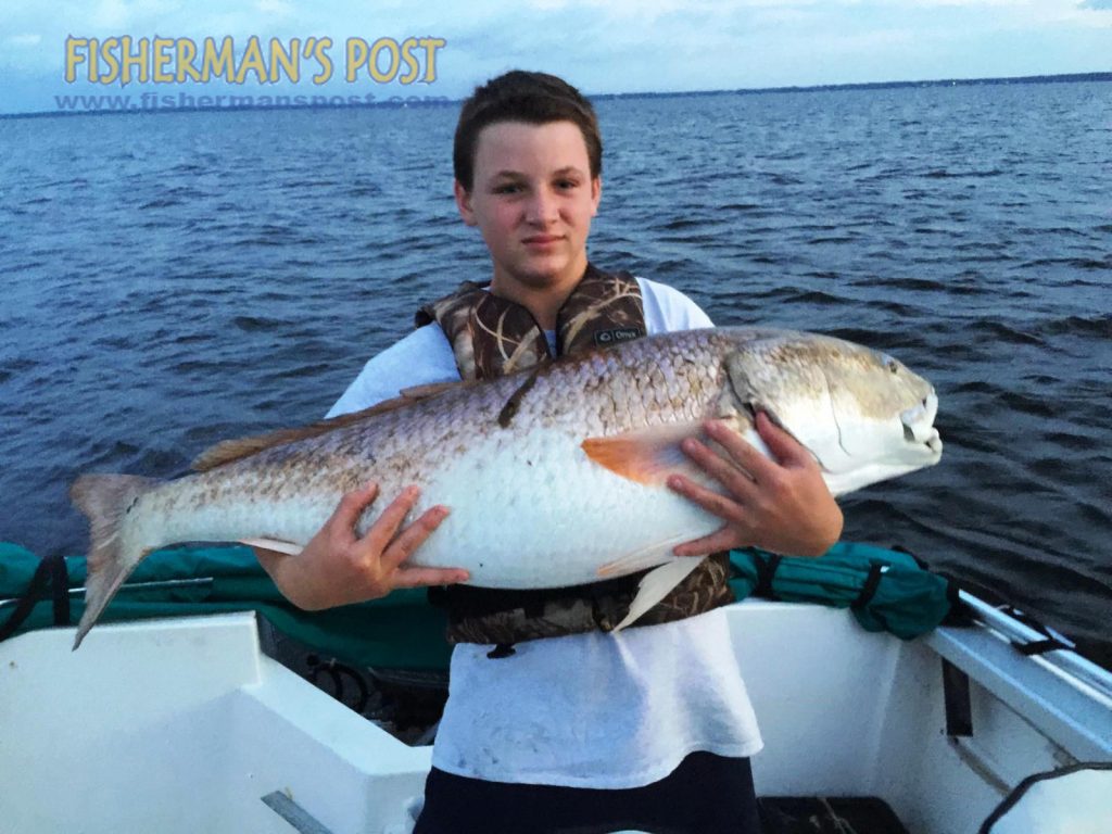 Ryan Alford with a 45" red drum he caught and released in the lower Neuse River while fishing with Capt. Dave Stewart of Knee Deep Custom Charters. The red bit a cut bait.