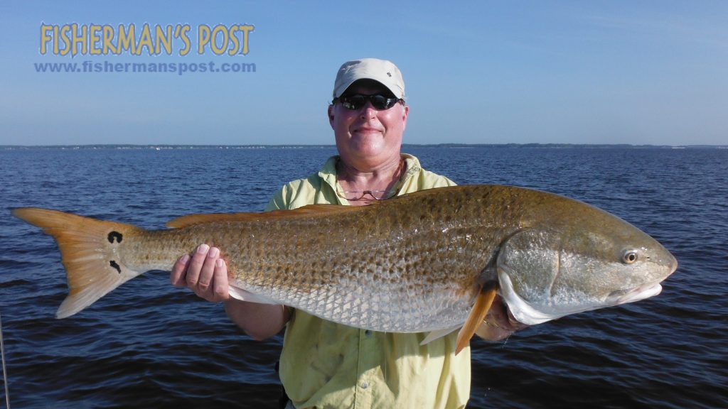 Wes Hightower with a citation red drum that attacked a D.O.A. popping cork rig with a 5" Swimbait while he was fishing the lower Neuse River with Capt. Dave Stewart of Knee Deep Custom Charters.