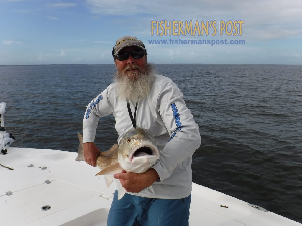 Capt. Dave Stewart, of Knee Deep Charters, with a citation-class red drum that bit a D.O.A. Deadly Combo Rig in the  lower Neuse River near Minnesott Beach.