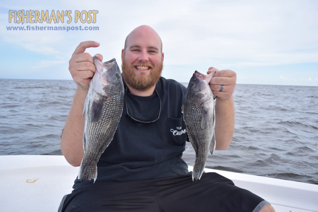 Joshua Alexander, Fisherman's Post Sales Manager, with a couple of the keeper sea bass caught at AR-330 just a couple of days after the heavy rains of Hurricane Joaquin. He was fishing with Capt. Justin Ragsdale of Breakday Charters.