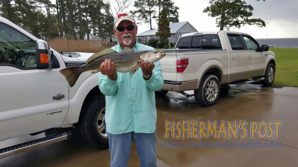 Kirk Ammons, of Belhaven, NC, with a 7 lb., 8 oz., 28" speckled trout that he hooked in a Pamlico River creek while working an MR17 MirrOlures.