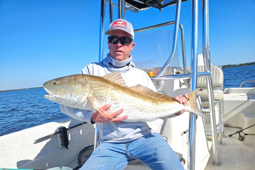 Brad Edmundson, of Carolina Beach, hooked this 42.5" redfish while fishing the Cape Fear River using live mullet.